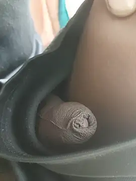 anjaanarun online show from October 2025 04:13:01 AM