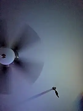 22sexytwin online show from April 2026 05:36:01 AM