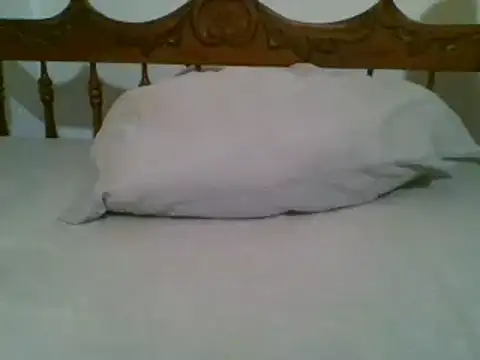 Snapshot of bbccol1 chatting on March 2025 09:35:02 PM bbccol1 online show from March 2025 09:35:02 PM