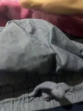 bigdiiiickkk online show from March 2026 01:34:01 AM