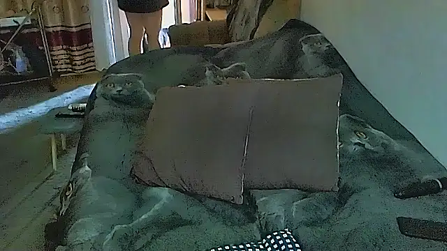 Snapshot of sex2 chatting on November 2025 01:09:01 AM sex2 online show from November 2025 01:09:01 AM