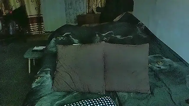 sex2 online show from March 2026 09:55:01 PM