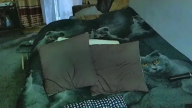 Snapshot of sex2 chatting on October 2025 04:13:01 AM sex2 online show from October 2025 04:13:01 AM