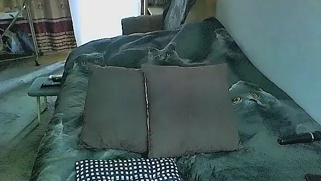 Snapshot of sex2 chatting on November 2025 02:26:02 AM sex2 online show from November 2025 02:26:02 AM