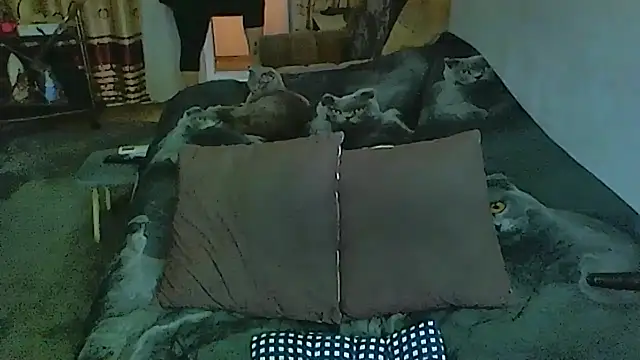 Snapshot of sex2 chatting on December 2025 01:26:02 AM sex2 online show from December 2025 01:26:02 AM