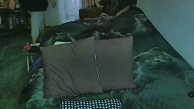 sex2 online show from April 2026 12:45:02 AM