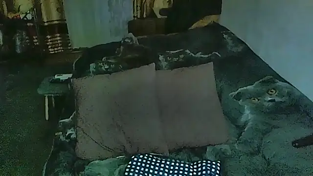 sex2 online show from March 2026 11:38:01 PM