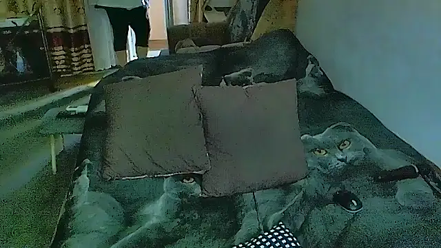 Snapshot of sex2 chatting on November 2025 07:34:02 AM sex2 online show from November 2025 07:34:02 AM