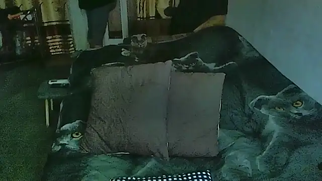 sex2 online show from March 2026 12:12:01 AM