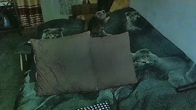 Snapshot of sex2 chatting on October 2025 07:00:01 PM sex2 online show from October 2025 07:00:01 PM