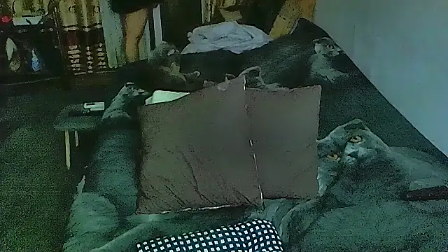 Snapshot of sex2 chatting on December 2025 10:10:01 PM sex2 online show from December 2025 10:10:01 PM