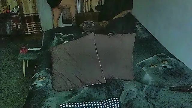 sex2 online show from April 2026 11:20:02 PM