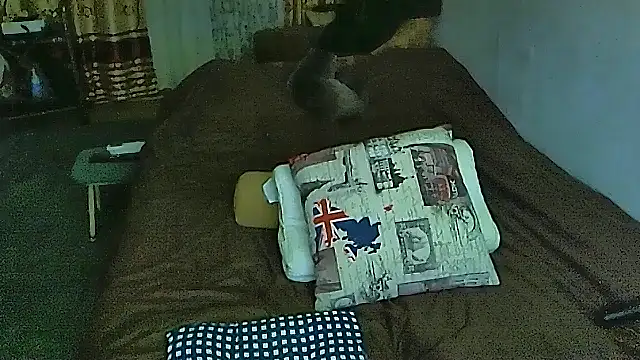 sex2 online show from December 2025 11:29:02 PM