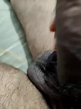 vishnuvinod india online show from November 2025 02:10:01 PM