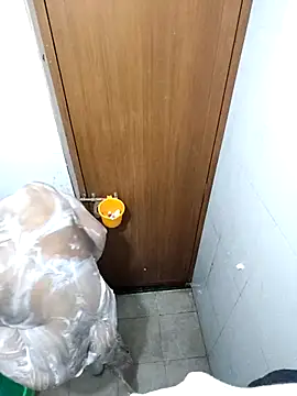 Snapshot of vishnuvinod_india chatting on February 2025 06:55:01 PM vishnuvinod india online show from February 2025 06:55:01 PM