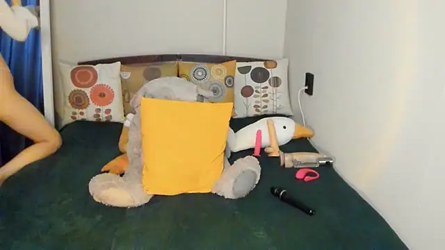 Stripchatlady online show from April 2026 12:19:02 PM