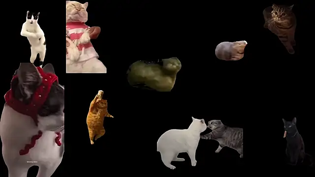 Snapshot of aberaaruba chatting on November 2025 11:57:01 AM aberaaruba online show from November 2025 11:57:01 AM