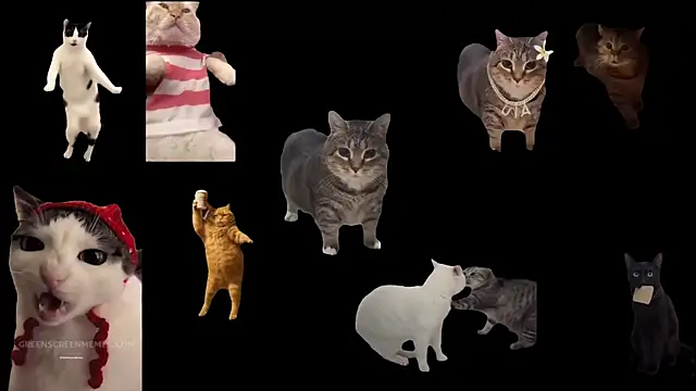 Snapshot of aberaaruba chatting on November 2025 10:09:01 AM aberaaruba online show from November 2025 10:09:01 AM