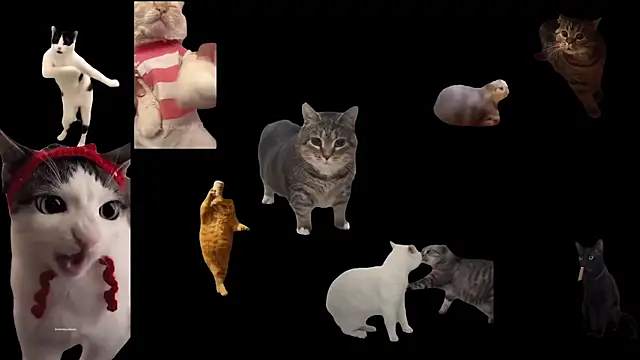 Snapshot of aberaaruba chatting on October 2025 09:41:01 AM aberaaruba online show from October 2025 09:41:01 AM