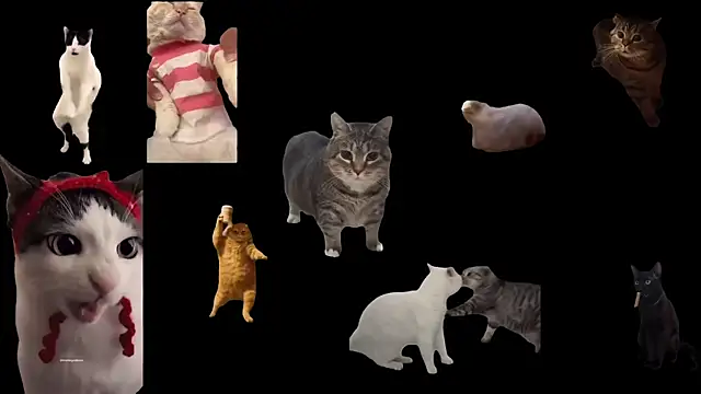 Snapshot of aberaaruba chatting on November 2025 11:36:01 AM aberaaruba online show from November 2025 11:36:01 AM