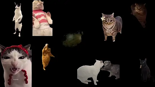 Snapshot of aberaaruba chatting on November 2025 02:43:02 PM aberaaruba online show from November 2025 02:43:02 PM