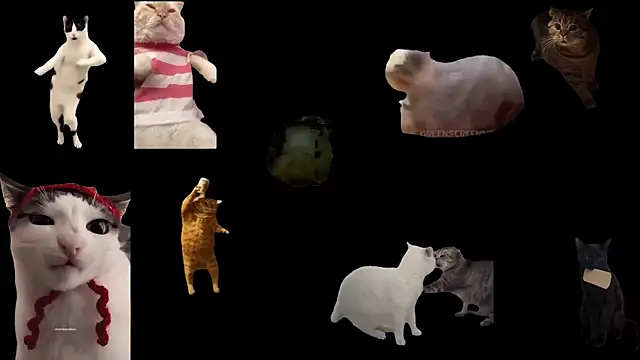 Snapshot of aberaaruba chatting on October 2025 01:42:05 PM aberaaruba online show from October 2025 01:42:05 PM