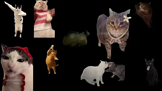 Snapshot of aberaaruba chatting on November 2025 01:26:02 PM aberaaruba online show from November 2025 01:26:02 PM