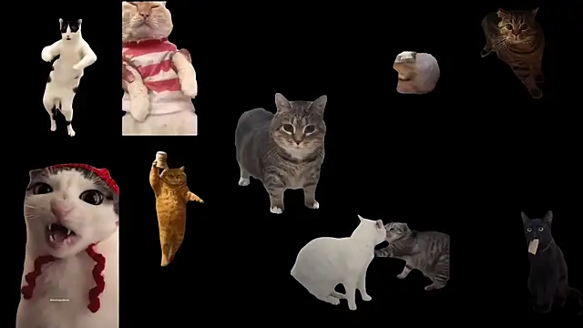 Snapshot of aberaaruba chatting on November 2025 03:23:02 PM aberaaruba online show from November 2025 03:23:02 PM