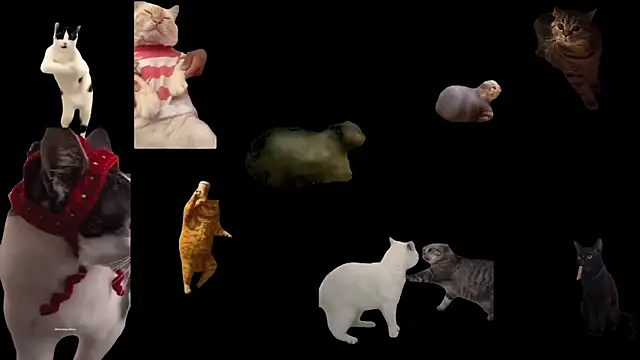 Snapshot of aberaaruba chatting on November 2025 02:51:02 PM aberaaruba online show from November 2025 02:51:02 PM