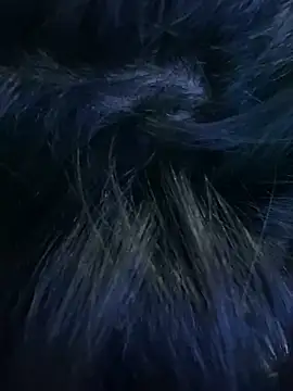 n2flix online show from December 2025 07:24:02 AM