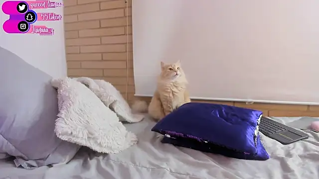 Snapshot of Queen_liana chatting on January 2025 08:29:01 AM Queen liana online show from January 2025 08:29:01 AM