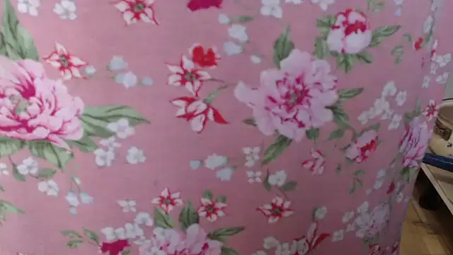 Snapshot of Anabelldestiny chatting on November 2025 06:46:02 AM Anabelldestiny online show from November 2025 06:46:02 AM