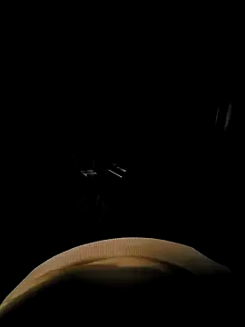 vansh1802 online show from January 2025 12:28:02 PM