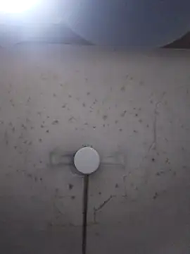 marie12345679 online show from February 2026 01:16:02 AM