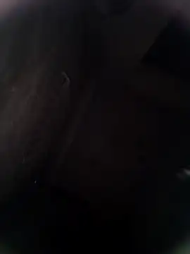 Pitercom online show from February 2026 12:52:01 AM