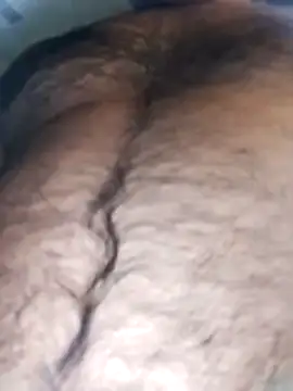 Pitercom online show from November 2025 10:29:01 AM