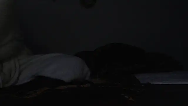 Snapshot of HoneyDripHer chatting on December 2024 06:32:02 AM HoneyDripHer online show from December 2024 06:32:02 AM