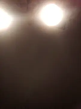 lilianashemale online show from November 2025 03:13:02 AM