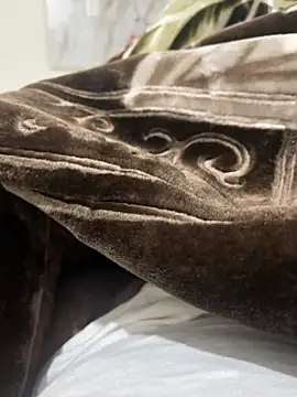 Snapshot of bigshow112 chatting on January 2025 12:40:01 PM bigshow112 online show from January 2025 12:40:01 PM