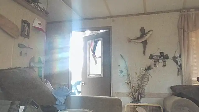 Snapshot of Yankeedave420 chatting on November 2025 06:08:01 PM Yankeedave420 online show from November 2025 06:08:01 PM