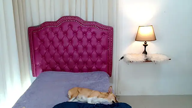 DreamLADYBOY online show from February 2026 01:06:02 AM