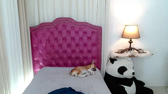 DreamLADYBOY online show from February 2026 02:09:02 AM