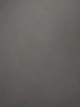 Baumhackel online show from February 2026 11:52:02 AM