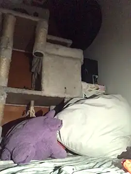 BIG-CkD F online show from January 2025 12:02:02 PM