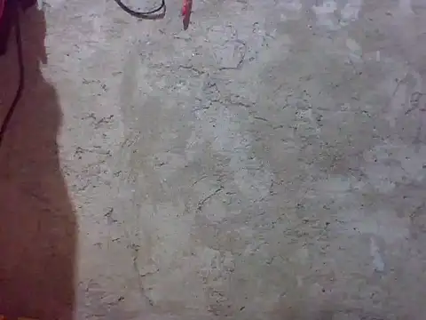 Snapshot of Beatrice143 chatting on February 2026 03:46:01 AM Beatrice143 online show from February 2026 03:46:01 AM