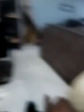 Spijomzo online show from December 2025 07:16:02 PM