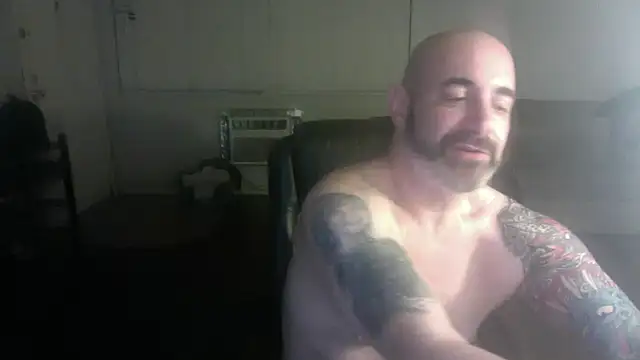 Snapshot of palidin1 chatting on February 2026 04:52:01 AM palidin1 online show from February 2026 04:52:01 AM