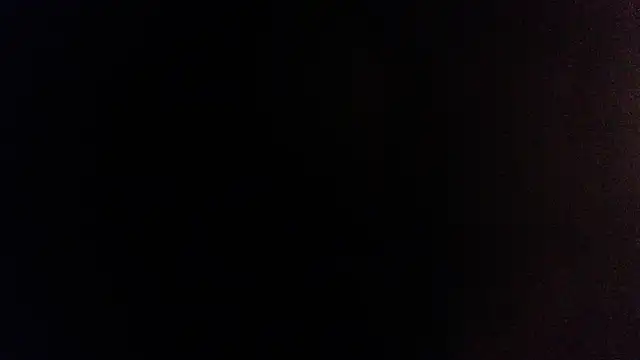 Snapshot of palidin1 chatting on December 2025 06:23:01 AM palidin1 online show from December 2025 06:23:01 AM