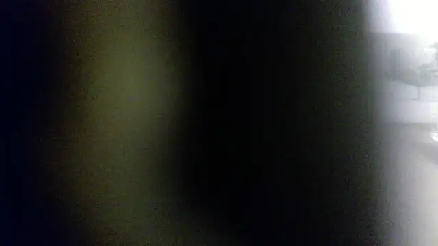 Snapshot of palidin1 chatting on February 2026 07:50:02 AM palidin1 online show from February 2026 07:50:02 AM