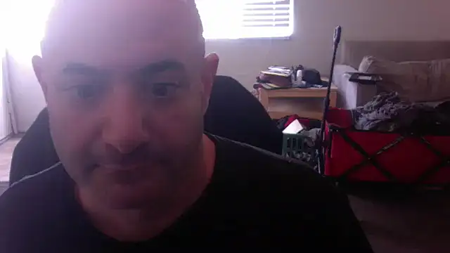 Snapshot of palidin1 chatting on November 2025 09:37:01 PM palidin1 online show from November 2025 09:37:01 PM